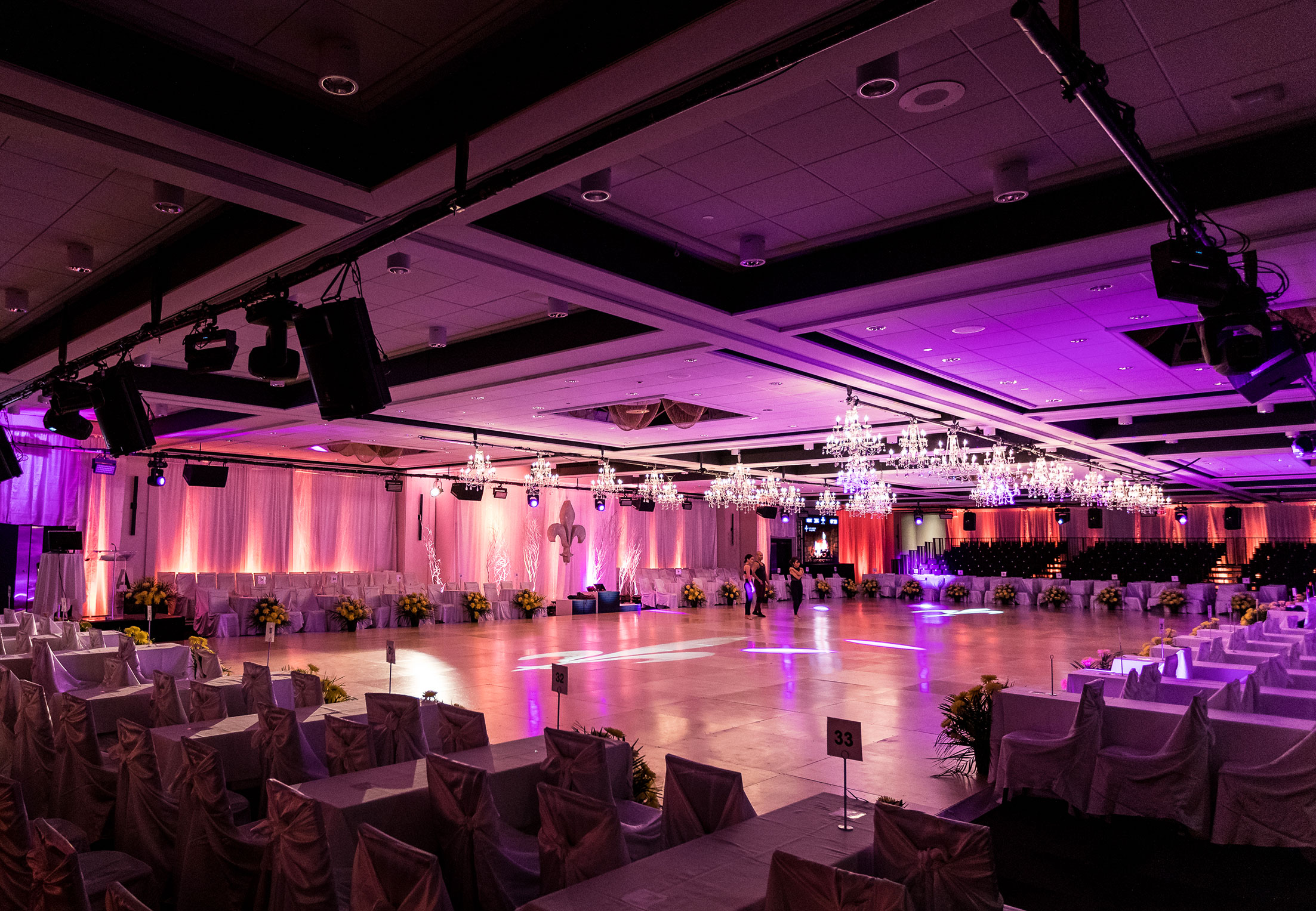 spectacles de danses